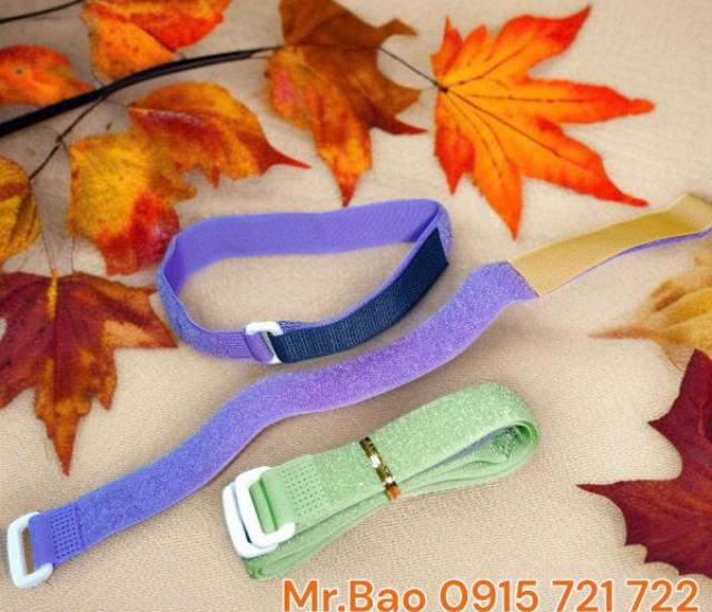 Dây đai cố định